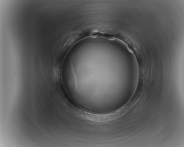 X0000116670035200912211612