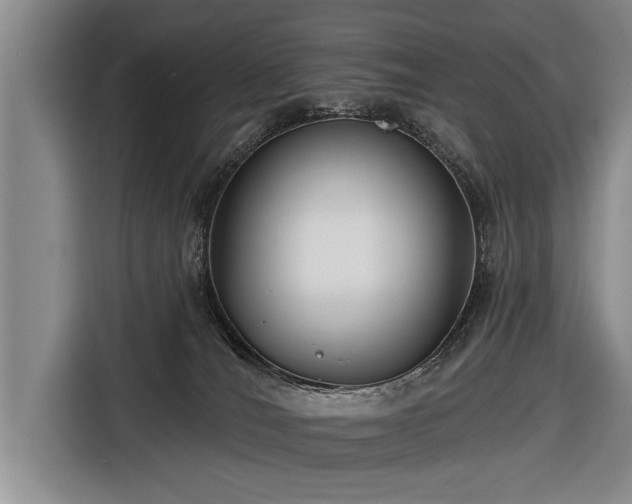 X0000116670036200912211612