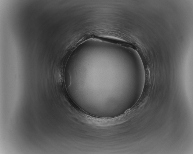 X0000116670039200912211612