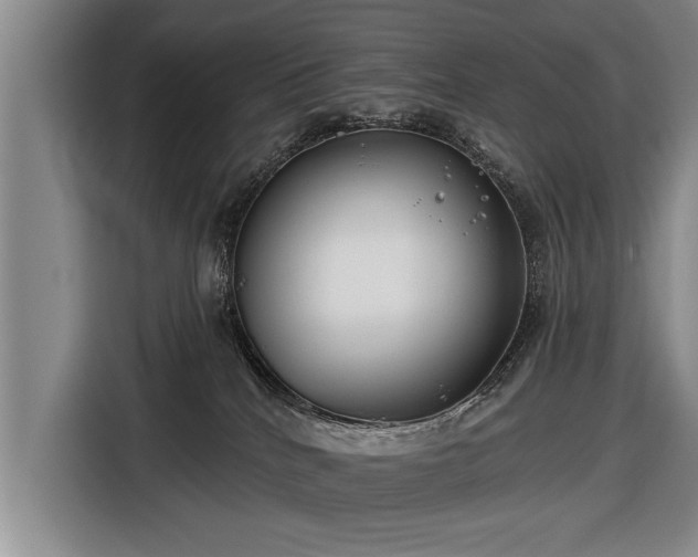 X0000116670040200912211612