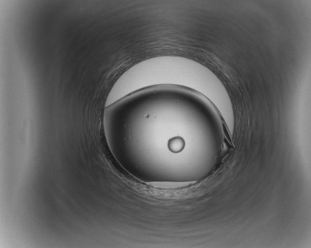 X0000116670043200912211612