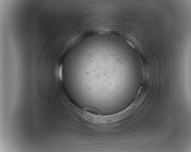 X0000116670047200912211612