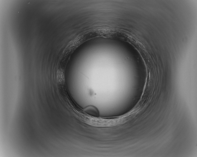 X0000116670048200912211612