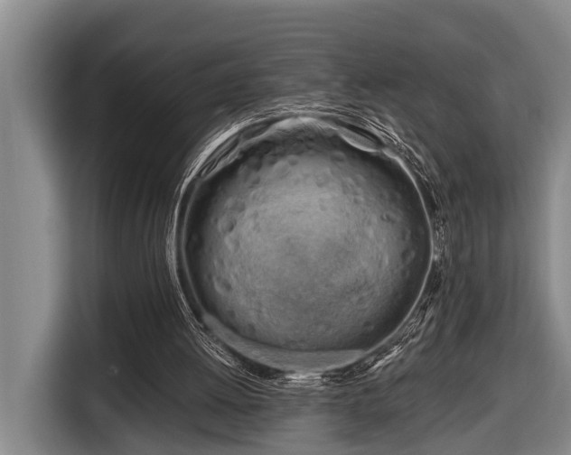 X0000116670052200912211611