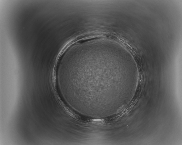 X0000116670053200912211611