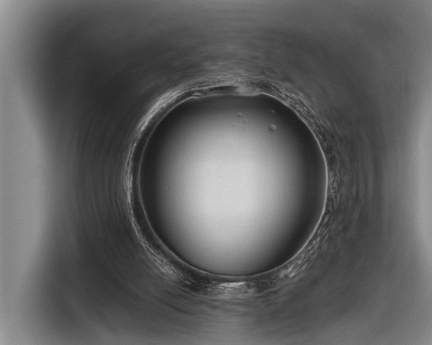 X0000116670054200912211612