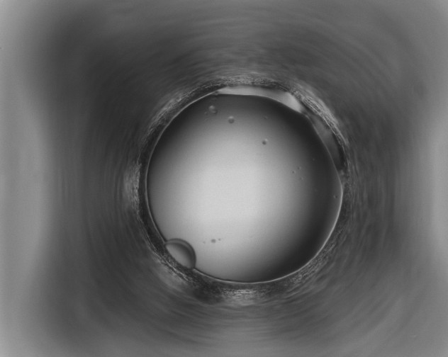 X0000116670058200912211612