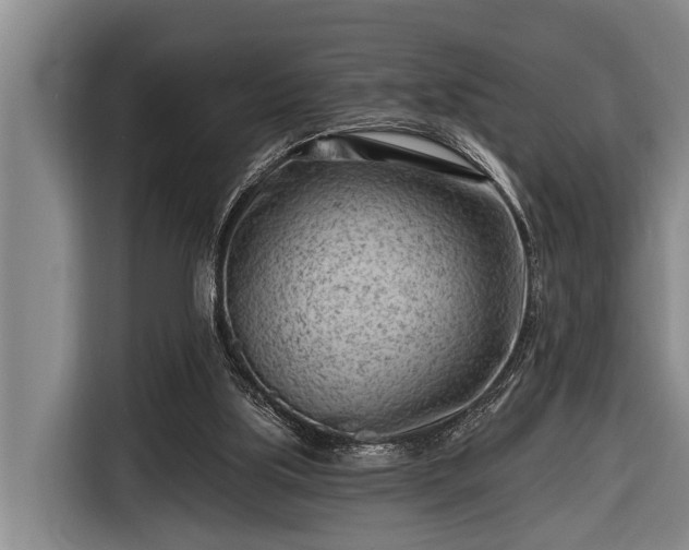 X0000116670059200912211612