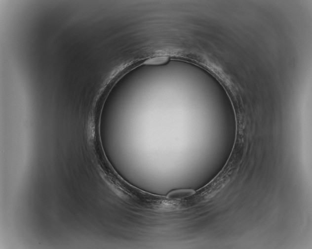 X0000116670060200912211612