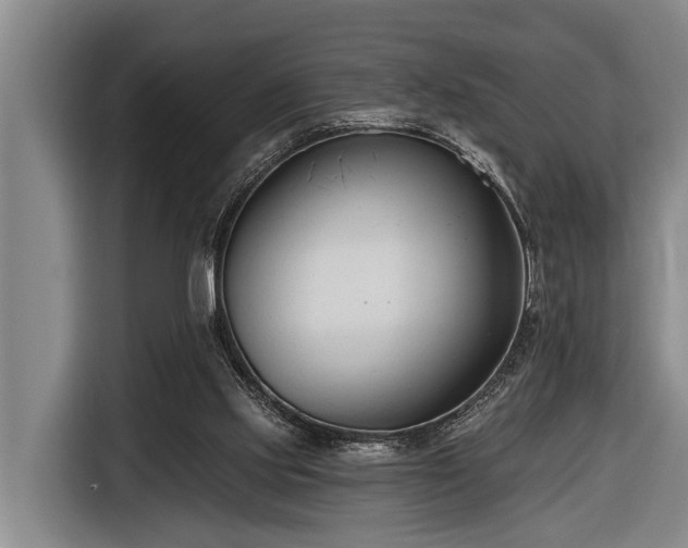 X0000116670061200912211612