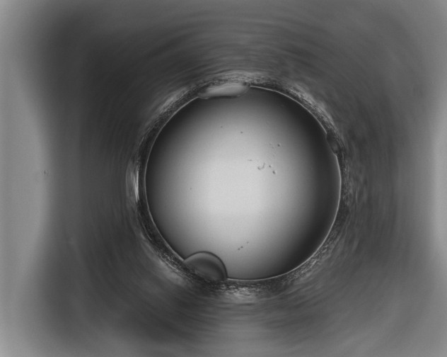 X0000116670062200912211612