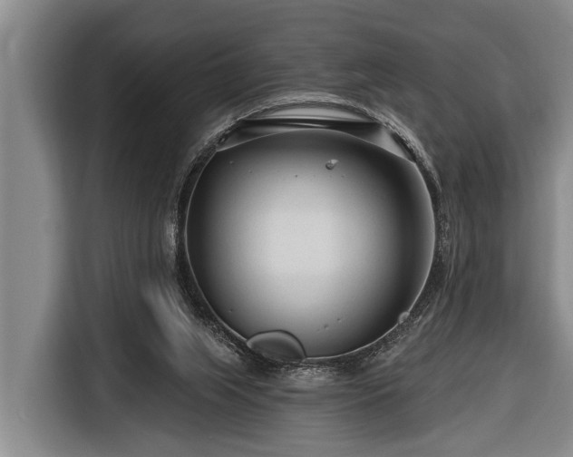 X0000116670063200912211612