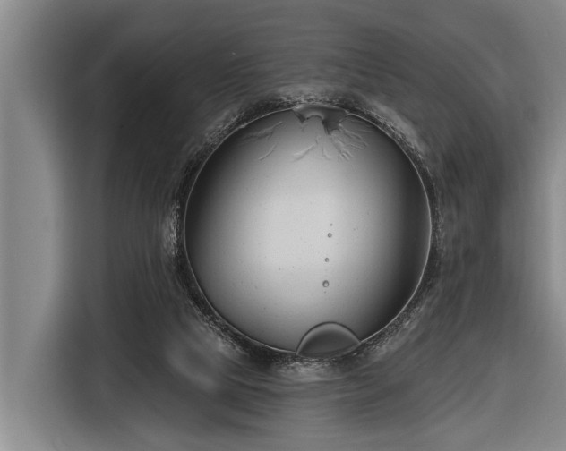 X0000116670065200912211612