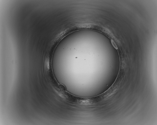 X0000116670068200912211612