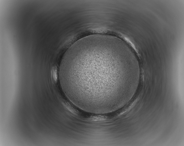 X0000116670069200912211612