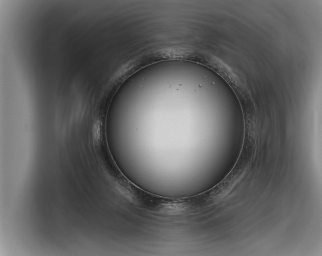 X0000116670071200912211612