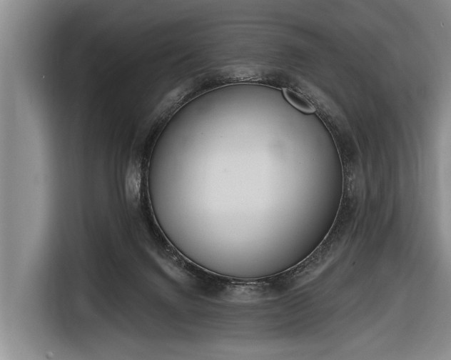 X0000116670072200912211612