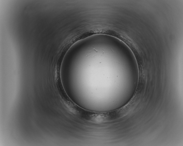 X0000116670074200912211612