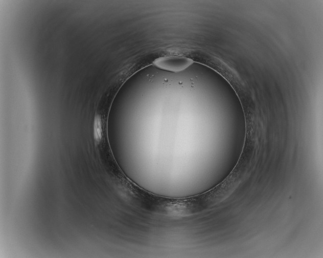 X0000116670075200912211612