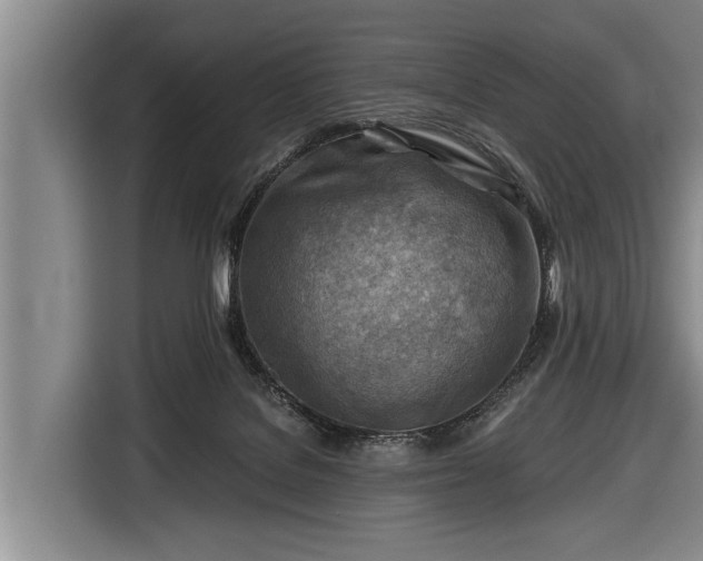 X0000116670076200912211612