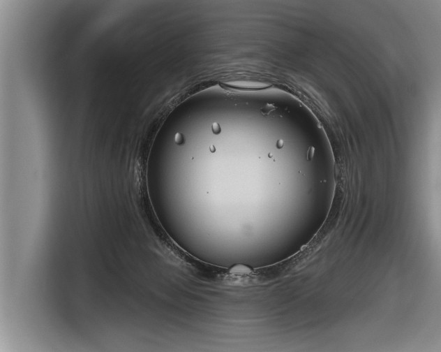 X0000116670077200912211612