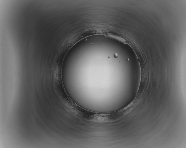 X0000116670078200912211612