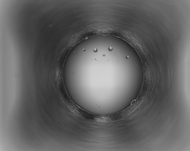 X0000116670079200912211612