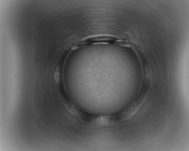 X0000116670080200912211612