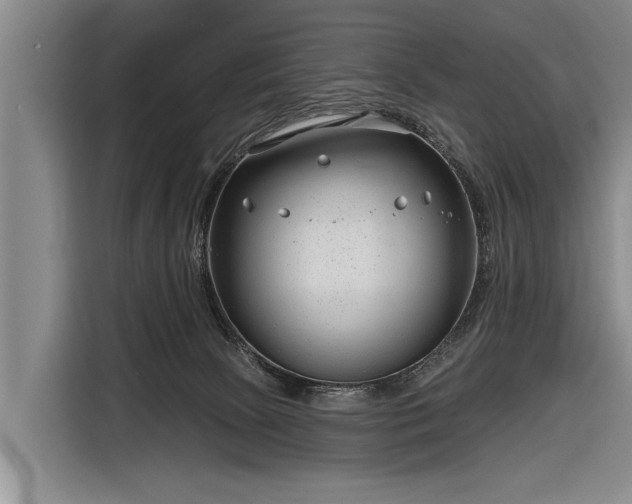 X0000116670081200912211612