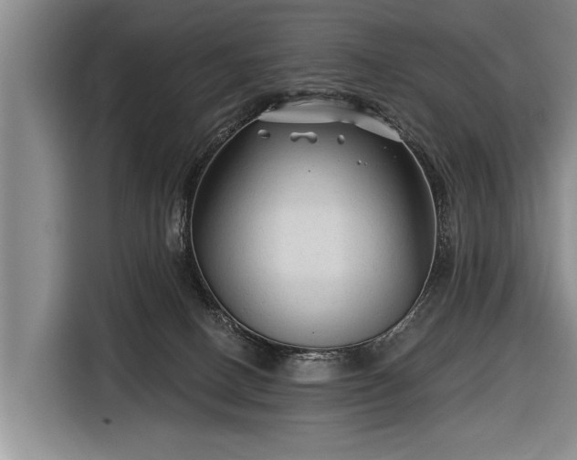 X0000116670082200912211612