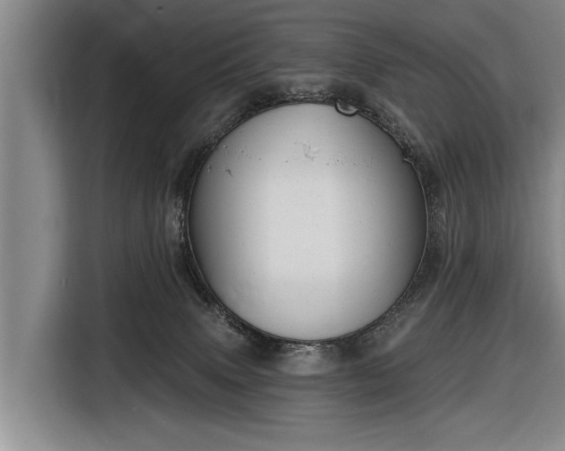 X0000116670083200912211612