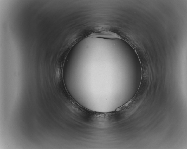 X0000116670084200912211612