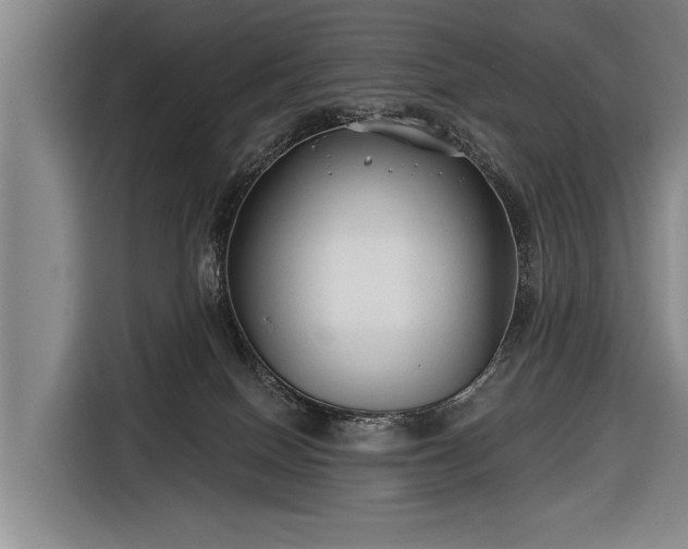 X0000116670086200912211612