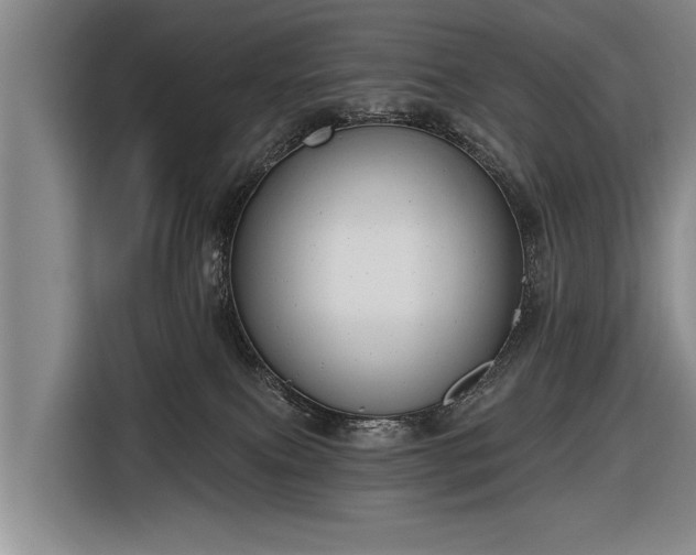 X0000116670087200912211612