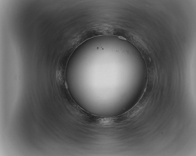 X0000116670088200912211612