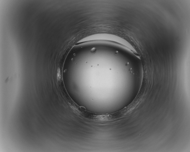 X0000116670089200912211612