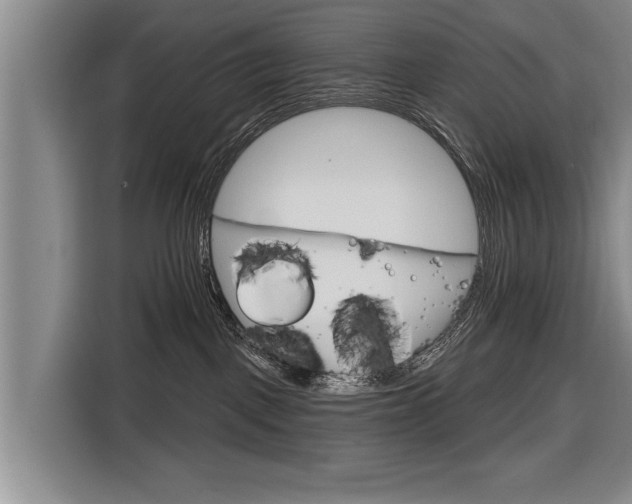 X0000116670093200912211612