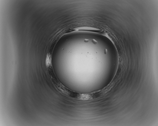 X0000116670095200912211612