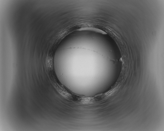 X0000116670096200912211612