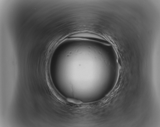 X0000116670097200912211611