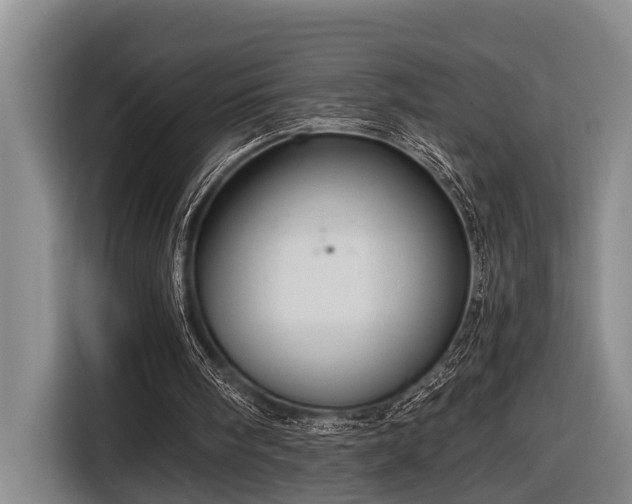 X0000116670098200912211611