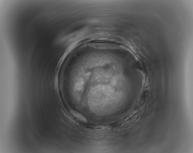 X0000116670099200912211611