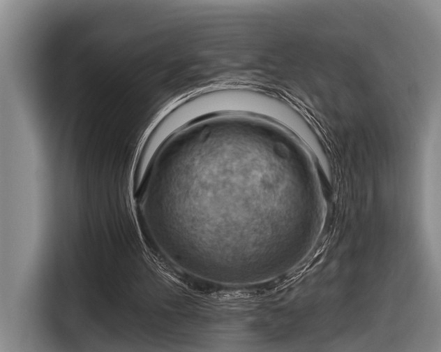 X0000116670100200912211611