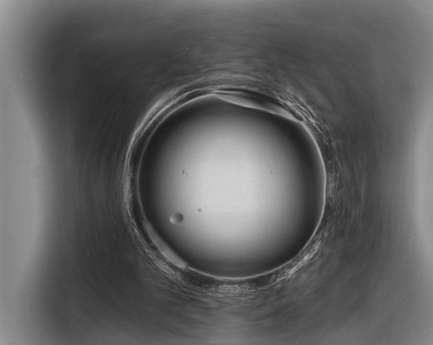 X0000116670101200912211611