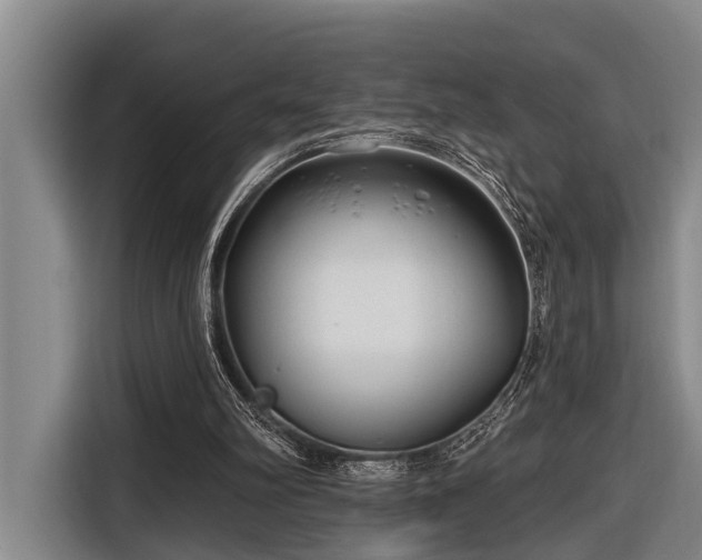 X0000116670102200912211611