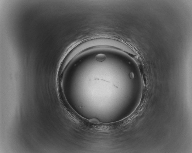 X0000116670104200912211611