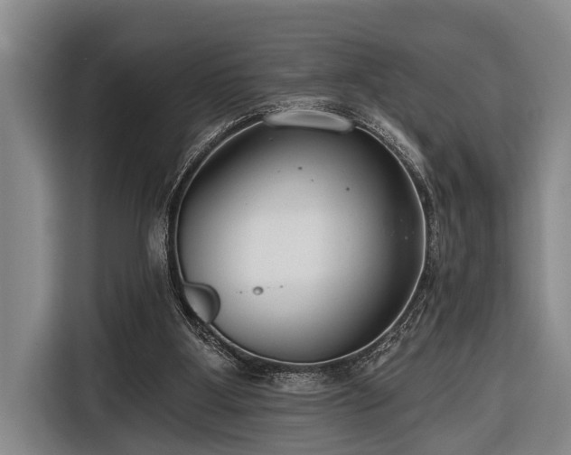 X0000116670107200912211611