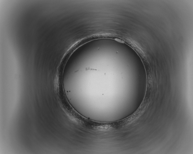 X0000116670112200912211611