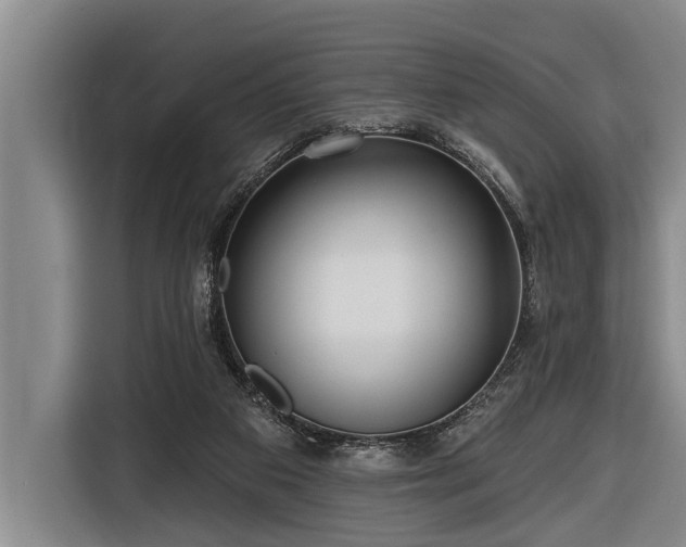 X0000116670113200912211611