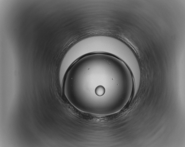 X0000116670117200912211611